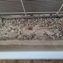 용곡동일하이빌하이시티4단지 이미지