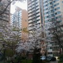 홍대명문공인중개사사무소 이미지