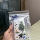 폰케이스 | 아이폰폰케이스 핫티몰 :: 귀여운 고양이 감성 폰케이스 후기
