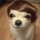 유리반점 이미지