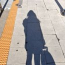 옐로마린관광호텔 이미지