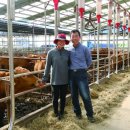 사랑농장 이미지