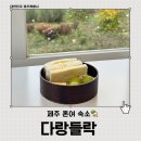 다랑들락 | 제주 동쪽 숙소 다랑들락 재방문 하고 싶은 후기 | 혼자 여행 추천 숙소