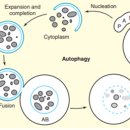 경희림다한의원 이미지