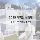 이글루화덕 | 2025 강원 태백 겨울 축제 태백산 눈꽃 축제 방문 후기 - 놀거리 / 눈 조각 /티니핑