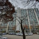 마곡중앙1로 이미지