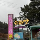 남해유통 | [남해 여행] 남해 방문 선물 1위! 상큼함 가득한 '백년유자' 유자빵 &amp; 원액 시승 후기 🍋✨