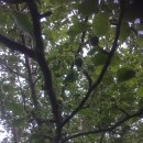 수입천계곡펜션 이미지