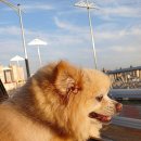 해담동물의료센터 이미지