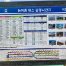심포리 | 양구 봉화산 여름 산행 후기(심포리-정상-구암리)
