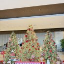 오션사우나헬스 | 윈덤그랜드부산 조식 수영장 헬스장 사우나 오션뷰 프리미엄패밀리룸 내돈내산 후기