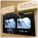 지인치과의원 이미지
