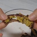 스테이데이앤데이(Stay day&Day) | 춘천 올데이스테이 : 두쫀쿠 아닌 두바이쫀득꼬마김밥 예약픽업 후기