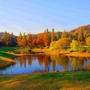 마에스트로 CC 이미지