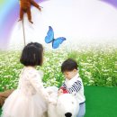 정운농장 이미지