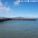 자유
