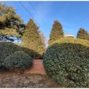 큰소나무농장 이미지