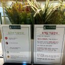 어라운드 스터디카페 태백점 | 인천 서구청역 ‘어라운드스터디카페’ 내돈내산 후기
