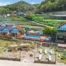 올랑고디또 이미지