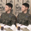 다온애드 | 벌써 꽃이 피면 안되지... 허락도 없이... 이 버릇업는 벚꽃같으니라고...