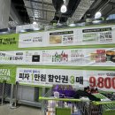 트레이더스 홀세일 클럽 마곡점