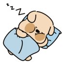 슈어스테이플러스호텔 이미지