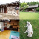 경주한옥펜션 초심산방, 불국사근처펜션 조용한 감성숙소 후기