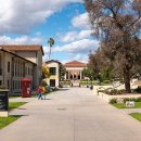 옥시덴탈 대학 - Occidental College(OXY) 이미지