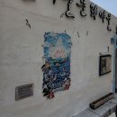 0.5플로르