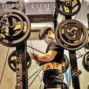 청년헬스 이미지
