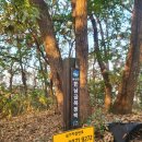 월산보건진료소 이미지