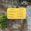 배롱나무집 | 구미옥계맛집 배롱나무집 생등갈비 김치찜 후기