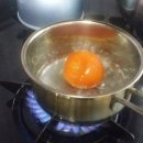 토마토 생각