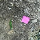 산너머그집 이미지