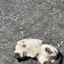 소담흙집펜션 이미지