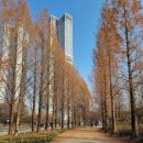 서울숲6 이미지