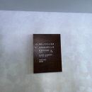 팜투어 하와이 신혼여행 &lt;알로힐라니 리조트 와이키키 비치호텔&gt; 오션프론트뷰 / 호텔 및 라운지바 후기