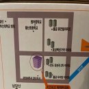 키즈미즈짱짱한의원 이미지