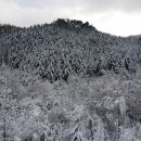 대성병원 이미지