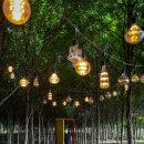 승한목장 이미지