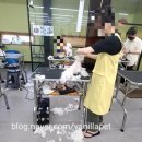 바닐라애견미용학원 이미지