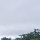 모내리쌈밥전문점 이미지