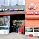 피쉬스타 이미지