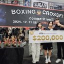 슈가복싱 프리미엄 이미지