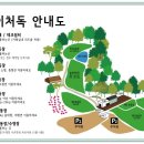 네이처독