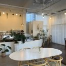 스테이 아삭 이미지