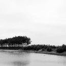 간월도펜션.수산 이미지