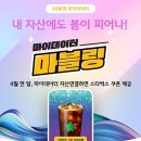 봄피어나