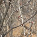 경암근린공원3 이미지