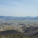 남동화원